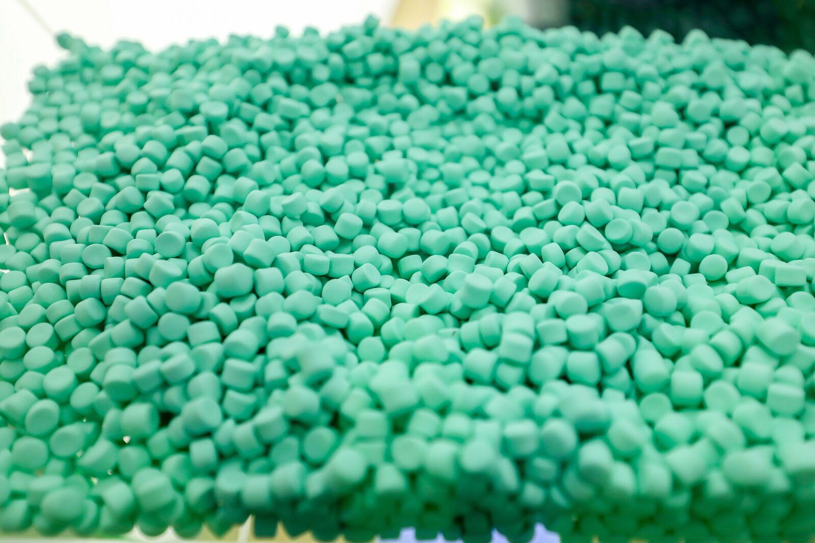 药胶 Predispersed Masterbatch
